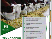 Обеззараживание зерна – обязательное условие при производстве кормов