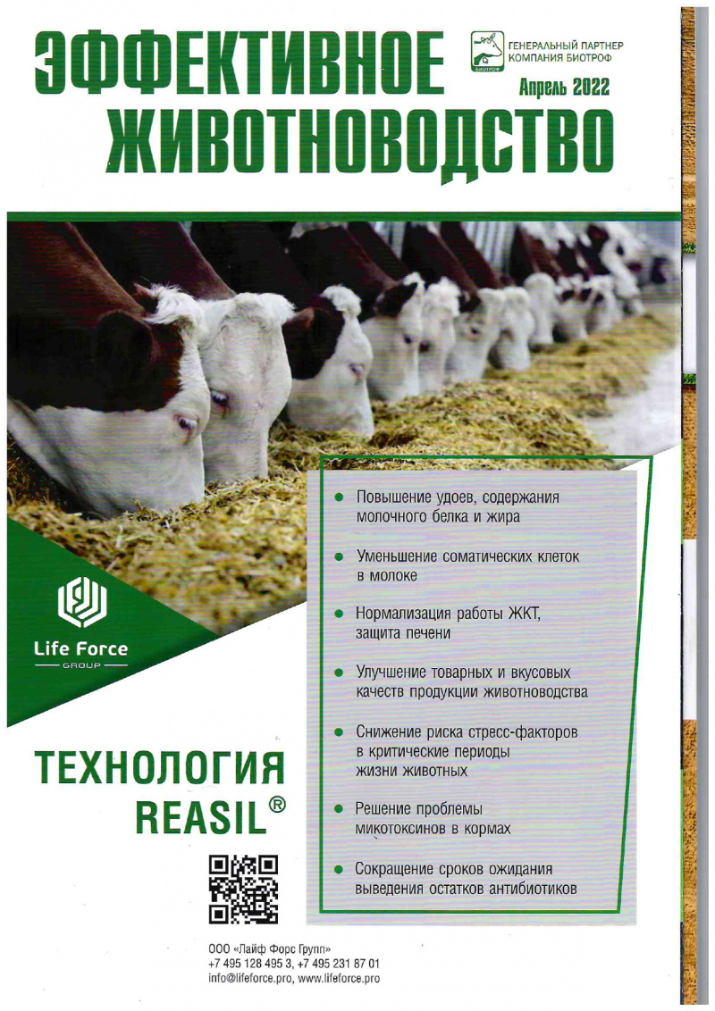 Обеззараживание зерна – обязательное условие при производстве кормов