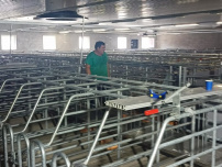 Специалисты «Доза-Агро» приступили к монтажу комбикормового завода для крупнейшего в ЛНР свинокомплекса