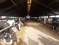 Специалисты «Доза-Агро» приняли участие в выездной программе по цифровизации молочной фермы 