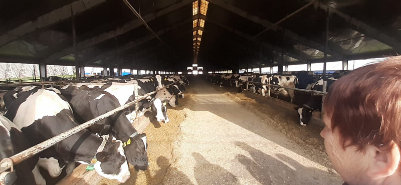 Специалисты «Доза-Агро» приняли участие в выездной программе по цифровизации молочной фермы 