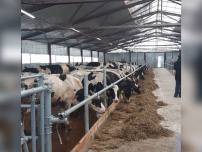Компания «Доза-Агро» приняла участие в заседании круглого стола «Нижегородского молочного союза» на тему «идеальной молочной фермы»